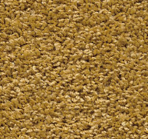 Ковролин AW Devotion 50 фото 1 | FLOORDEALER